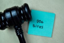dog bite no win no fee claim