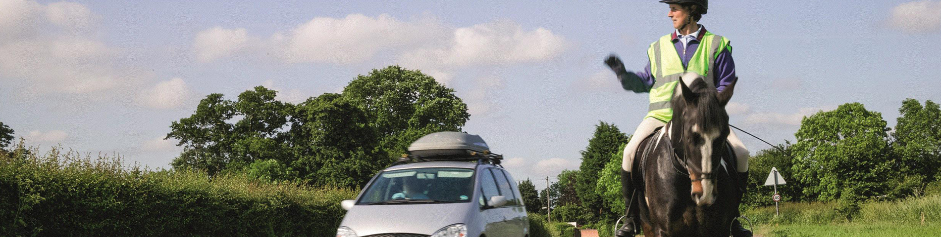 Car overtaking horse