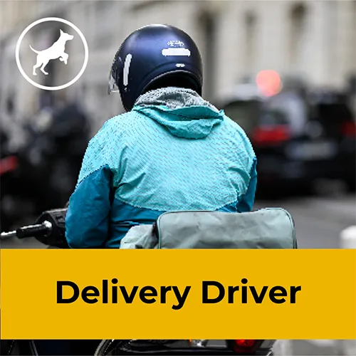 Delivery Driver