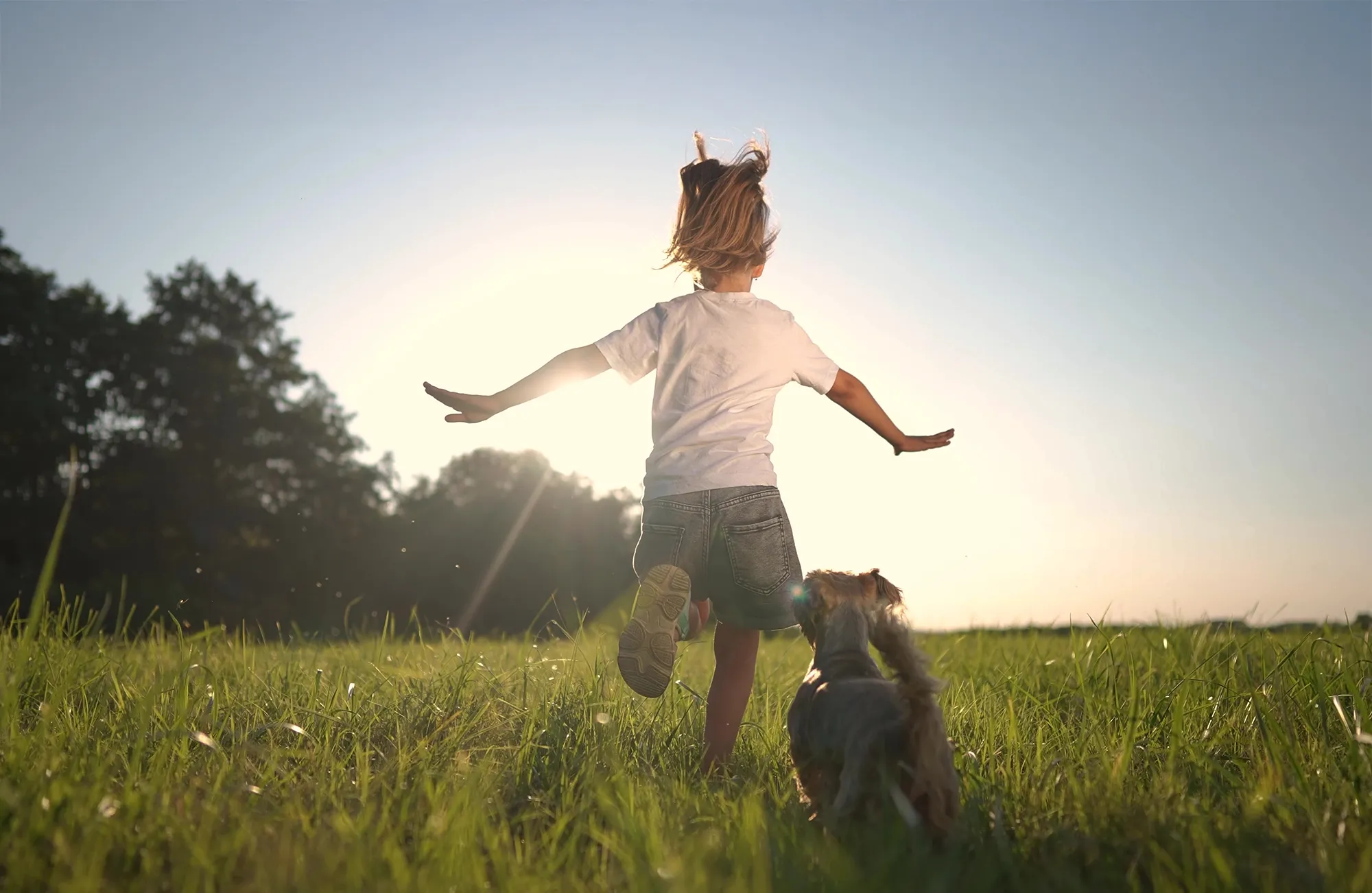child and dog running through a field