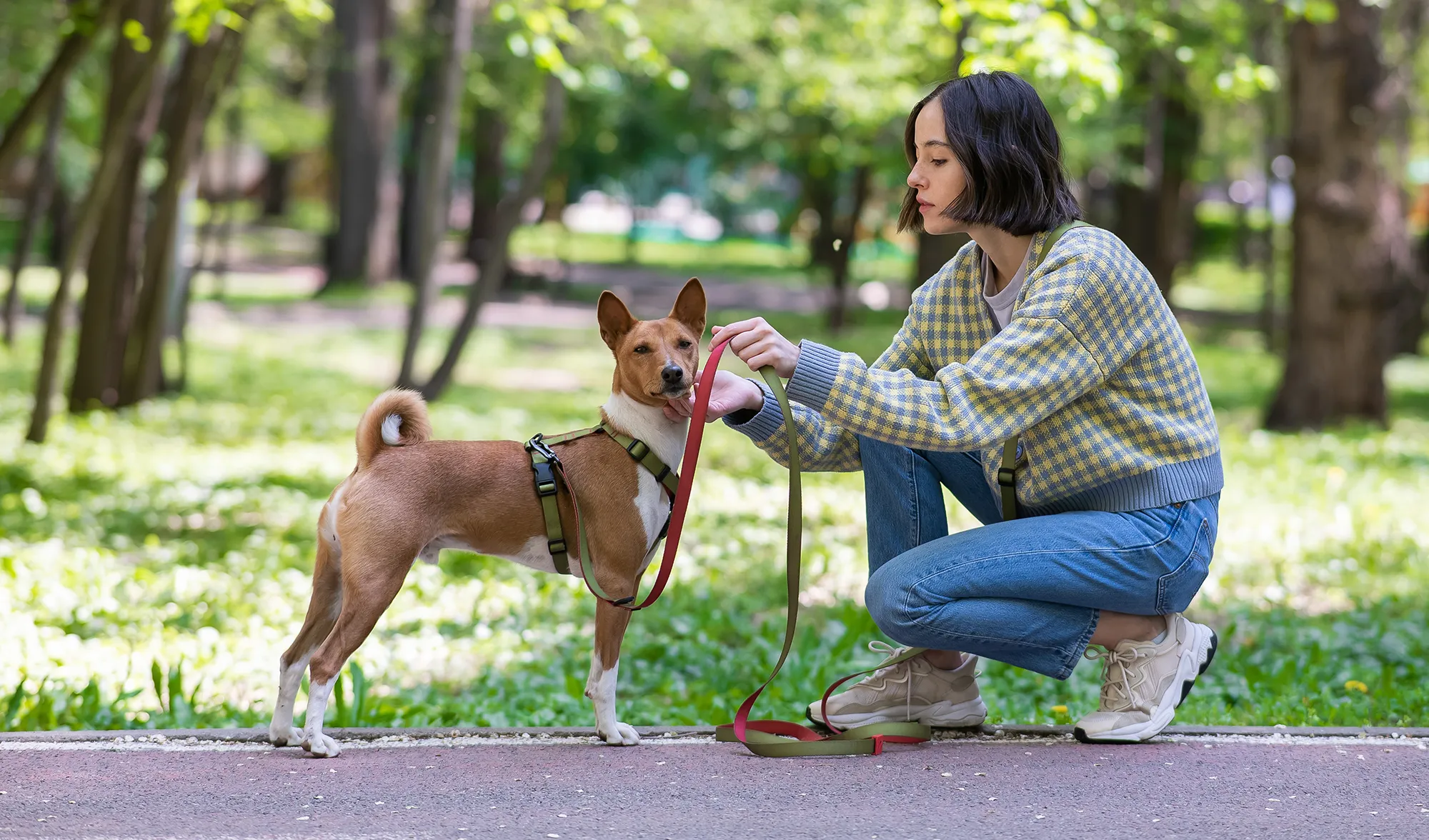 Dog and owner in park