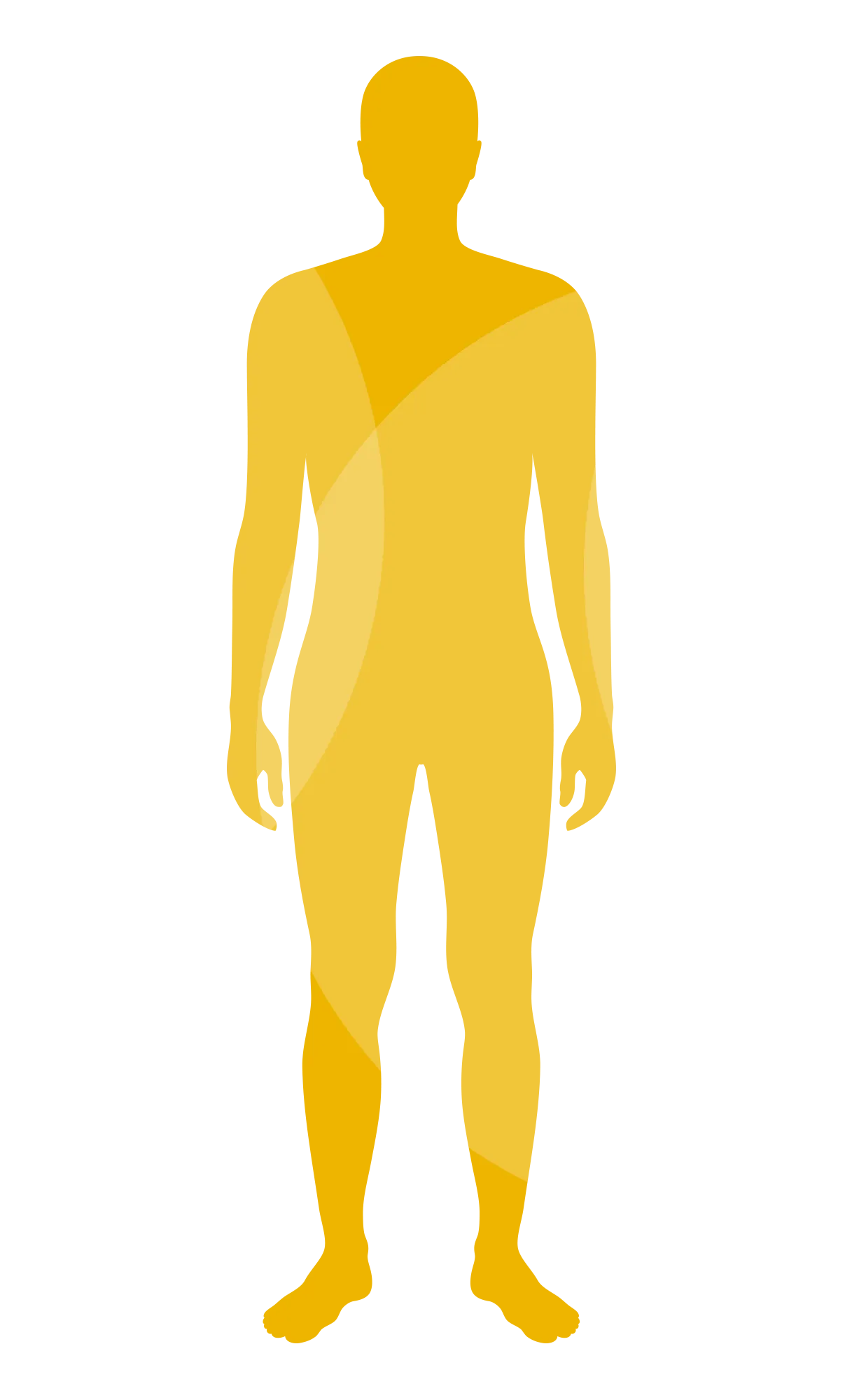 Silhouette of a person in yellow